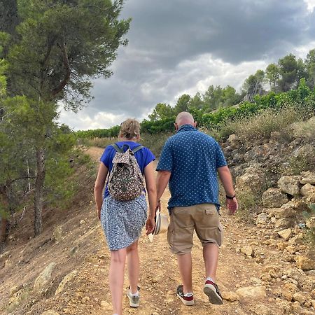 Les Volets Lavande Aubignan Εξωτερικό φωτογραφία