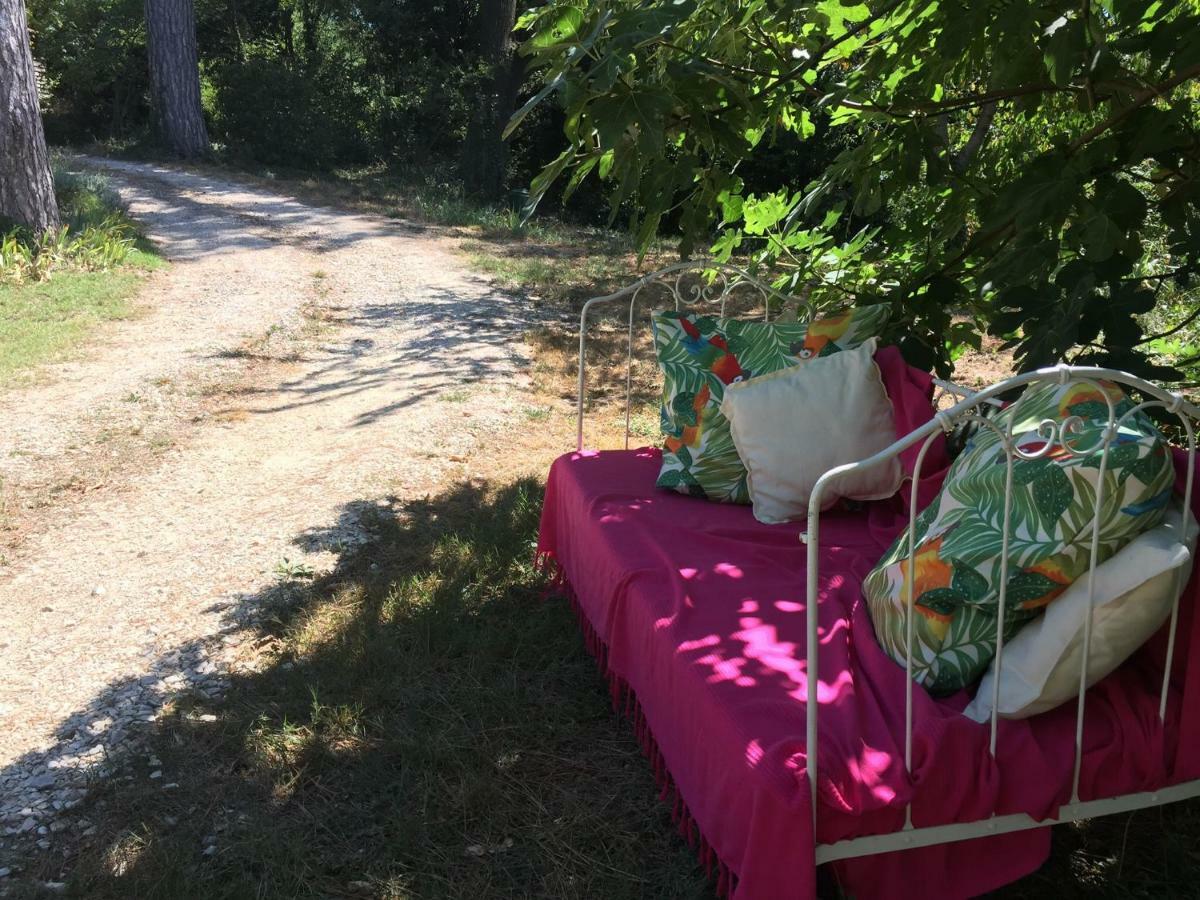 Les Volets Lavande Aubignan Εξωτερικό φωτογραφία